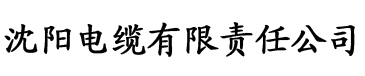 东北大炕无删减大团结电缆厂logo